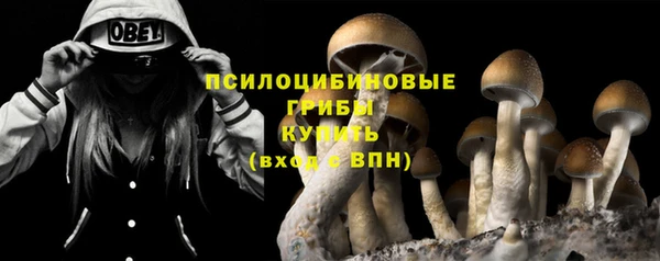 PSILOCYBIN Армянск