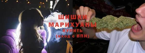 PSILOCYBIN Армянск