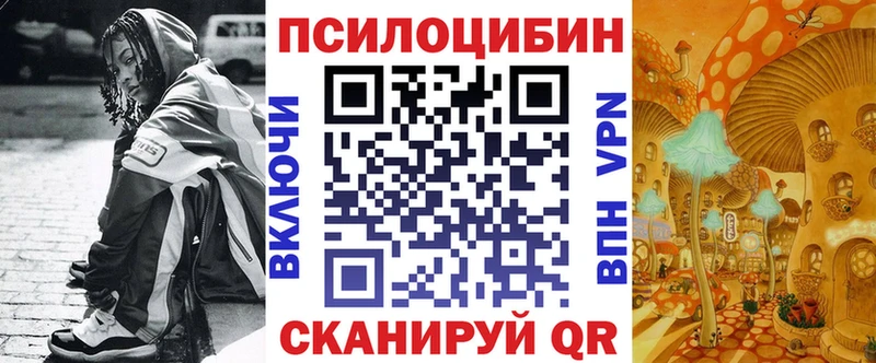Галлюциногенные грибы Cubensis  Калязин 